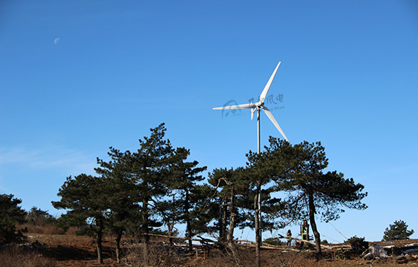 风力发电机常见分类要领有哪些？